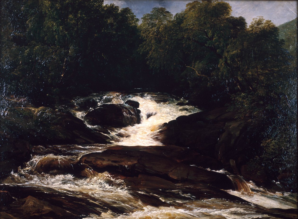 Ein Bach in Devonshire von Frederick Richard Lee