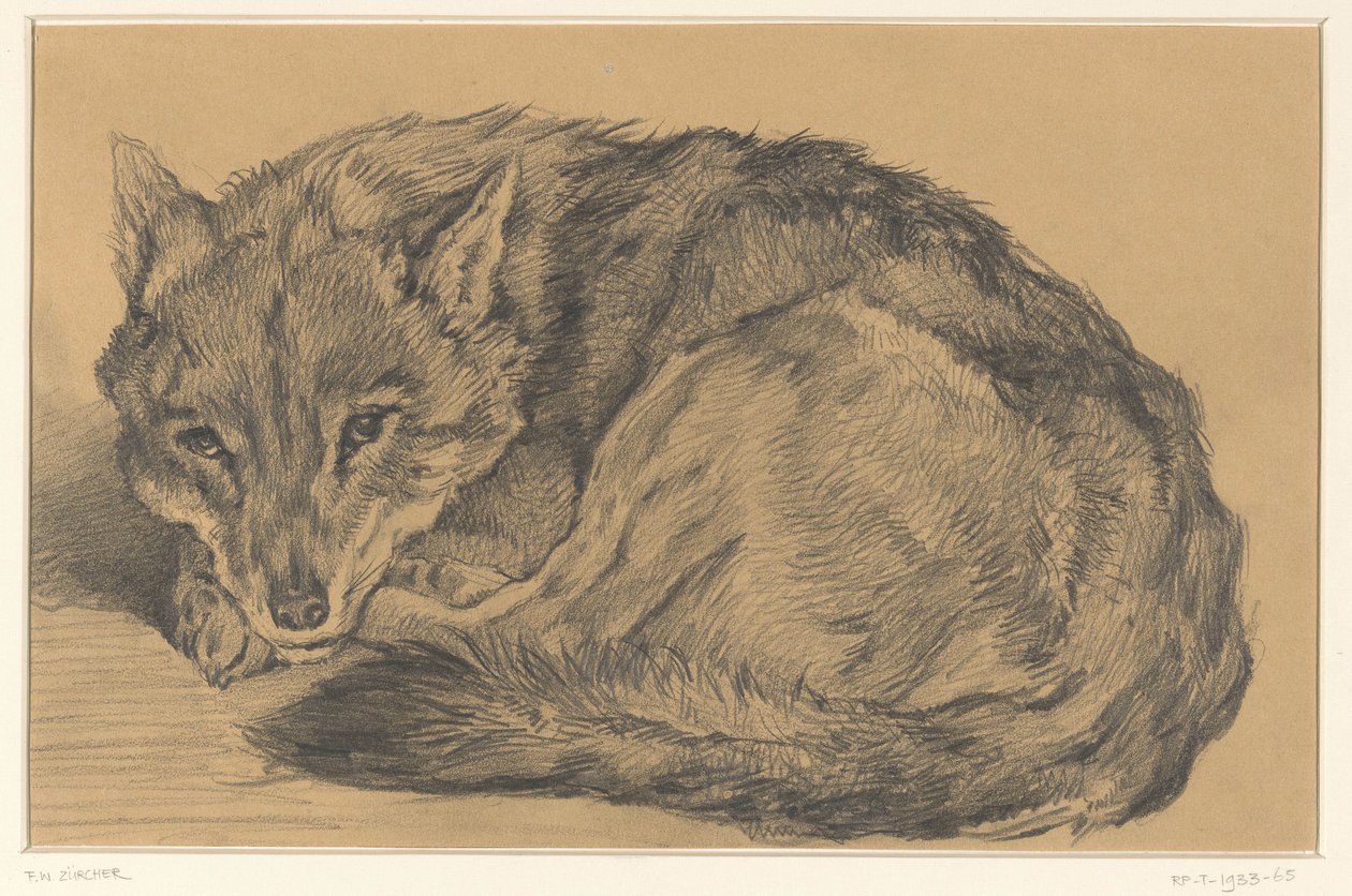 Liegender Fuchs von Frederik Willem Zürcher