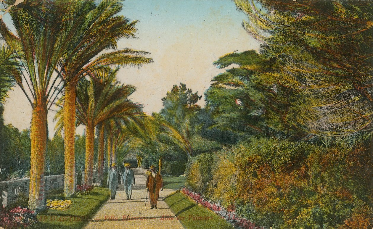 Palmenallee, Gärten der Villa Eilenroc, Cap d