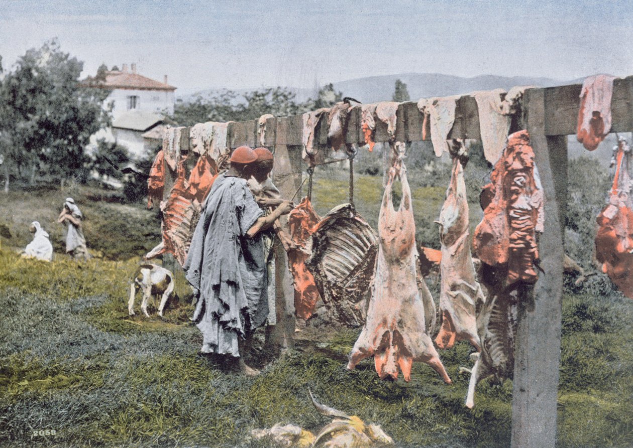 Arabische Metzgerei in Algerien, spätes 19. Jahrhundert von French Photographer