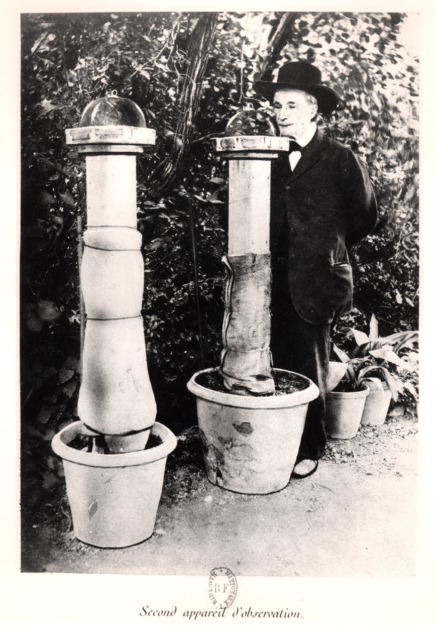 Jean-Henri Fabre (1823-1915) aus Souvenirs Entomologiques, veröffentlicht 1924 von French Photographer