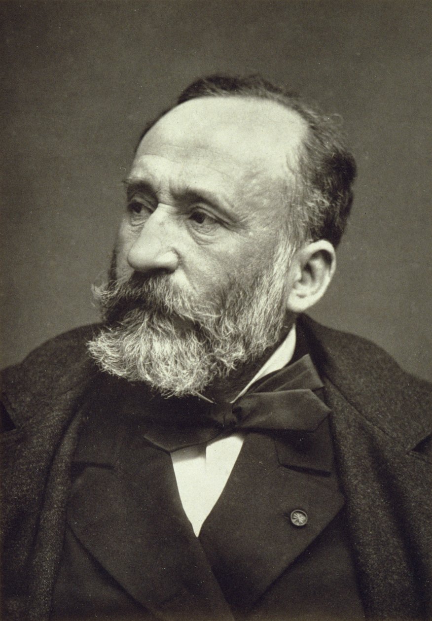 Pierre Cécile Puvis de Chavannes (1824-98), aus Galerie Contemporaine, ca. 1874-78 von French Photographer