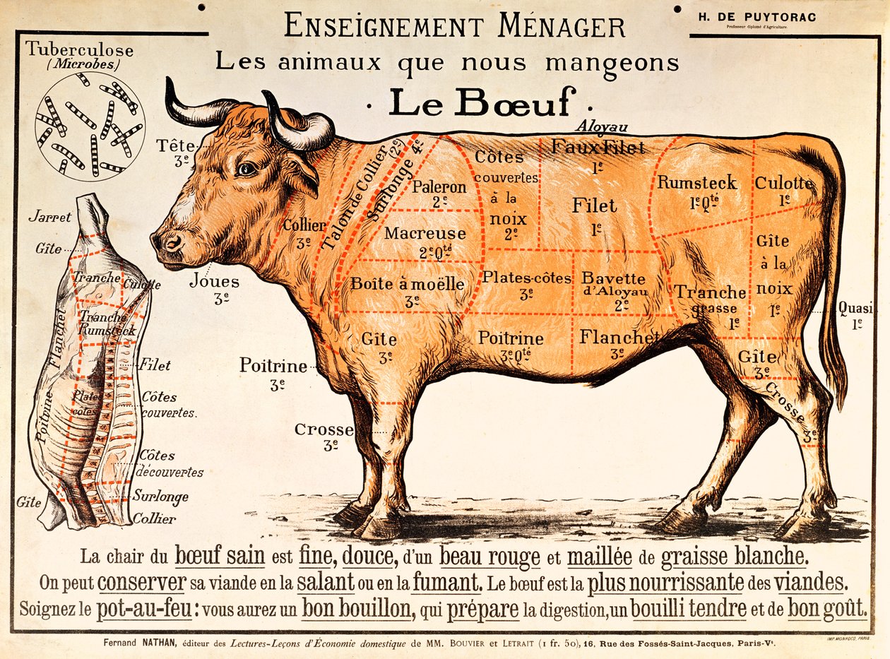 Rindfleisch: Diagramm, das die verschiedenen Fleischstücke zeigt von French School