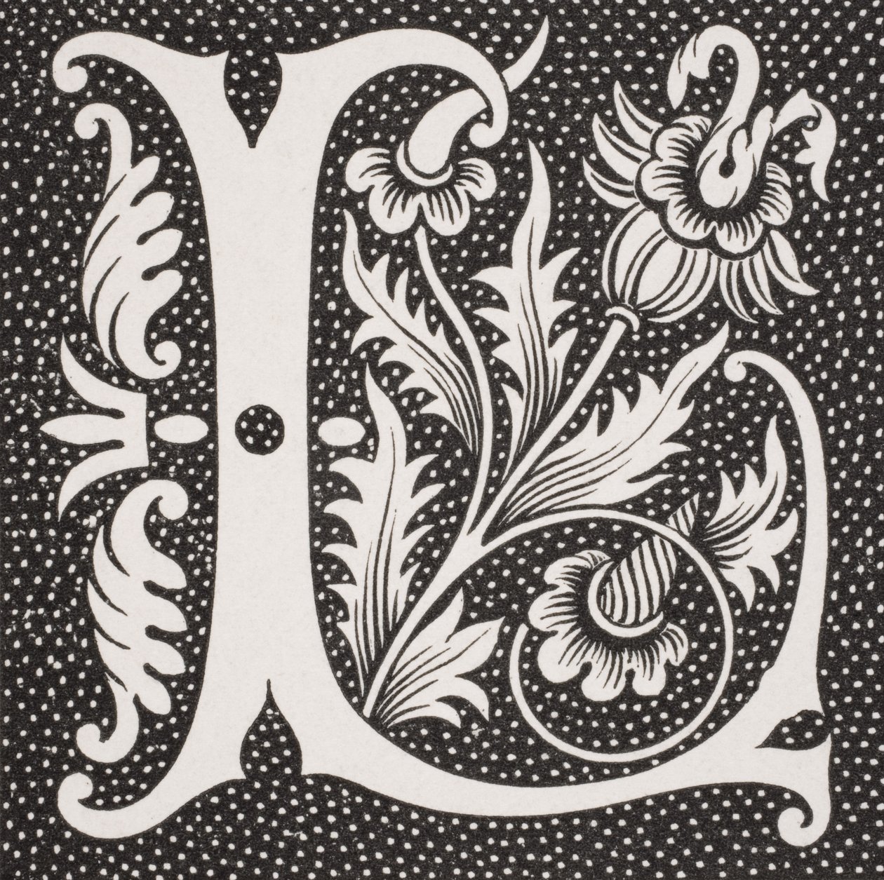 Verzierte Buchstabe 