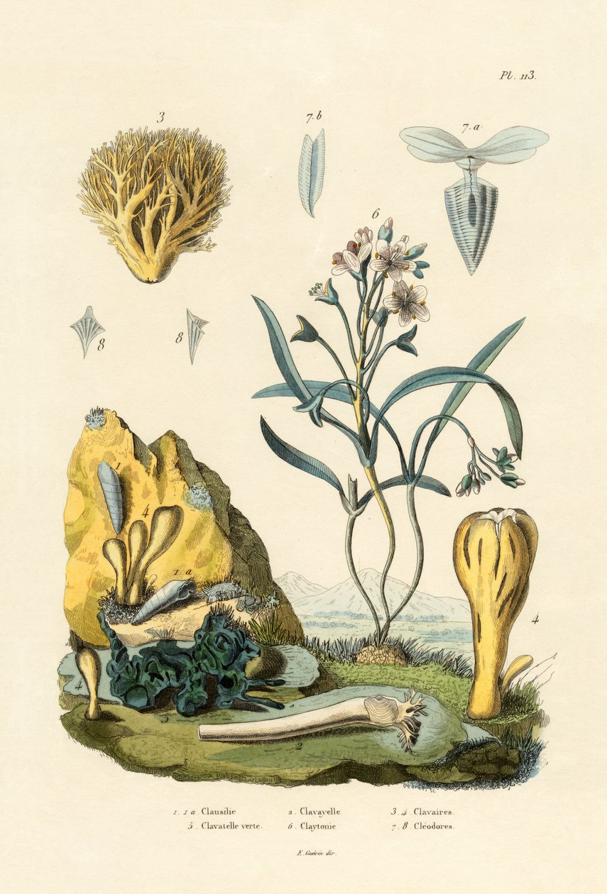 Türschnecke von French School
