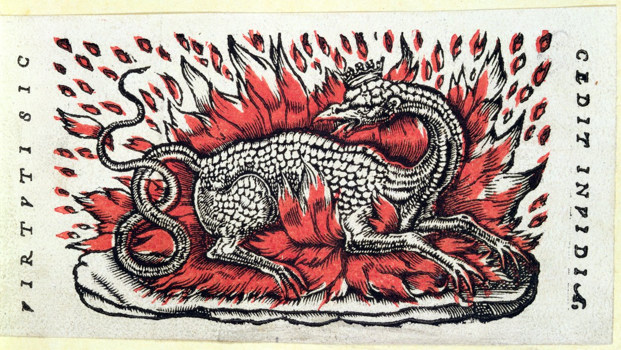 Ein Salamander, erste Hälfte des 16. Jahrhunderts von French School