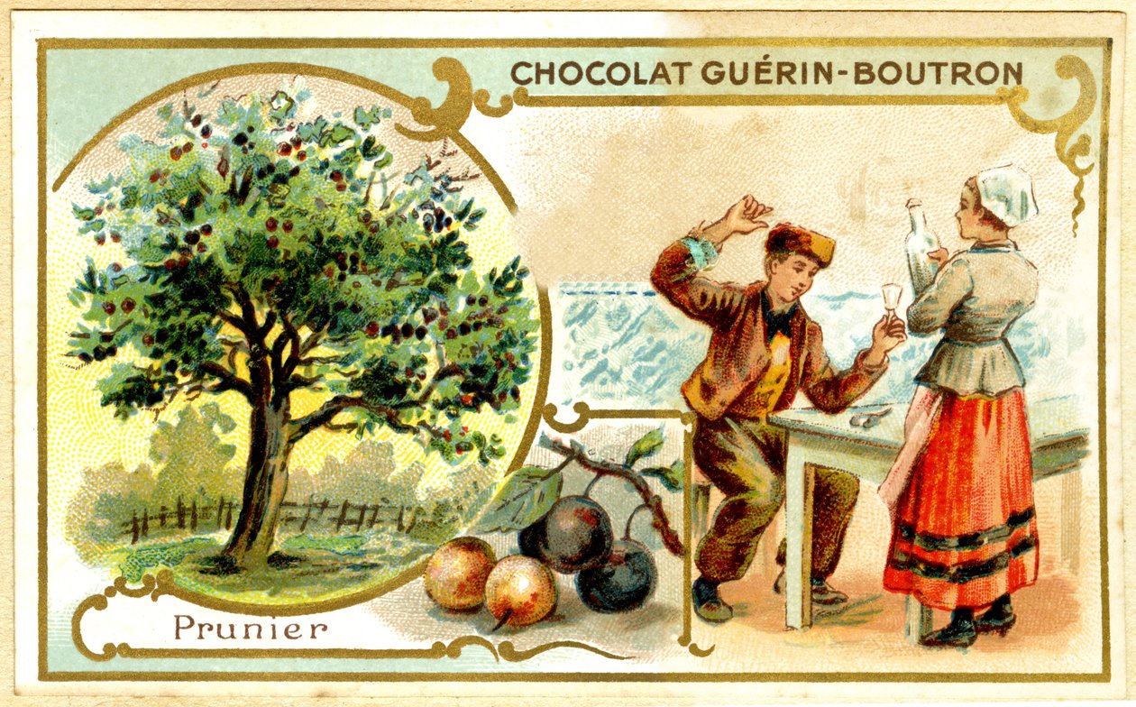 Werbe-Chromolithographie von Guérin Boutron Schokoladen von French School