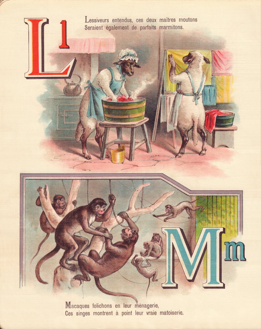 L M: Lamm, Wäsche, Affen, Menagerie von French School