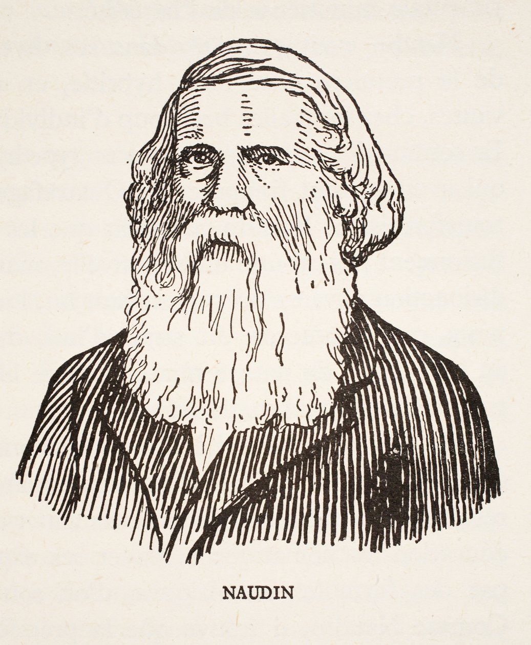 Naudin von French School