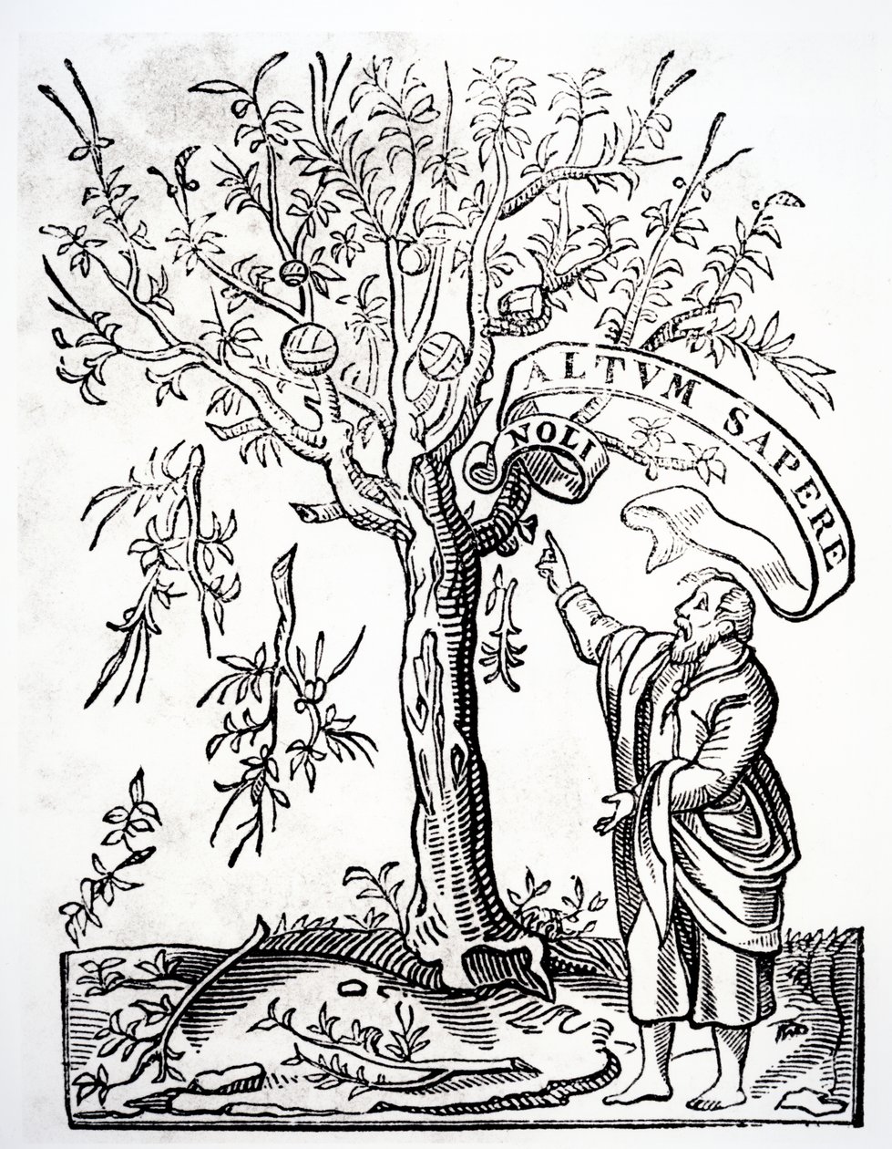 Druckeremblem von Robert Estienne, Paris, 1526 von French School