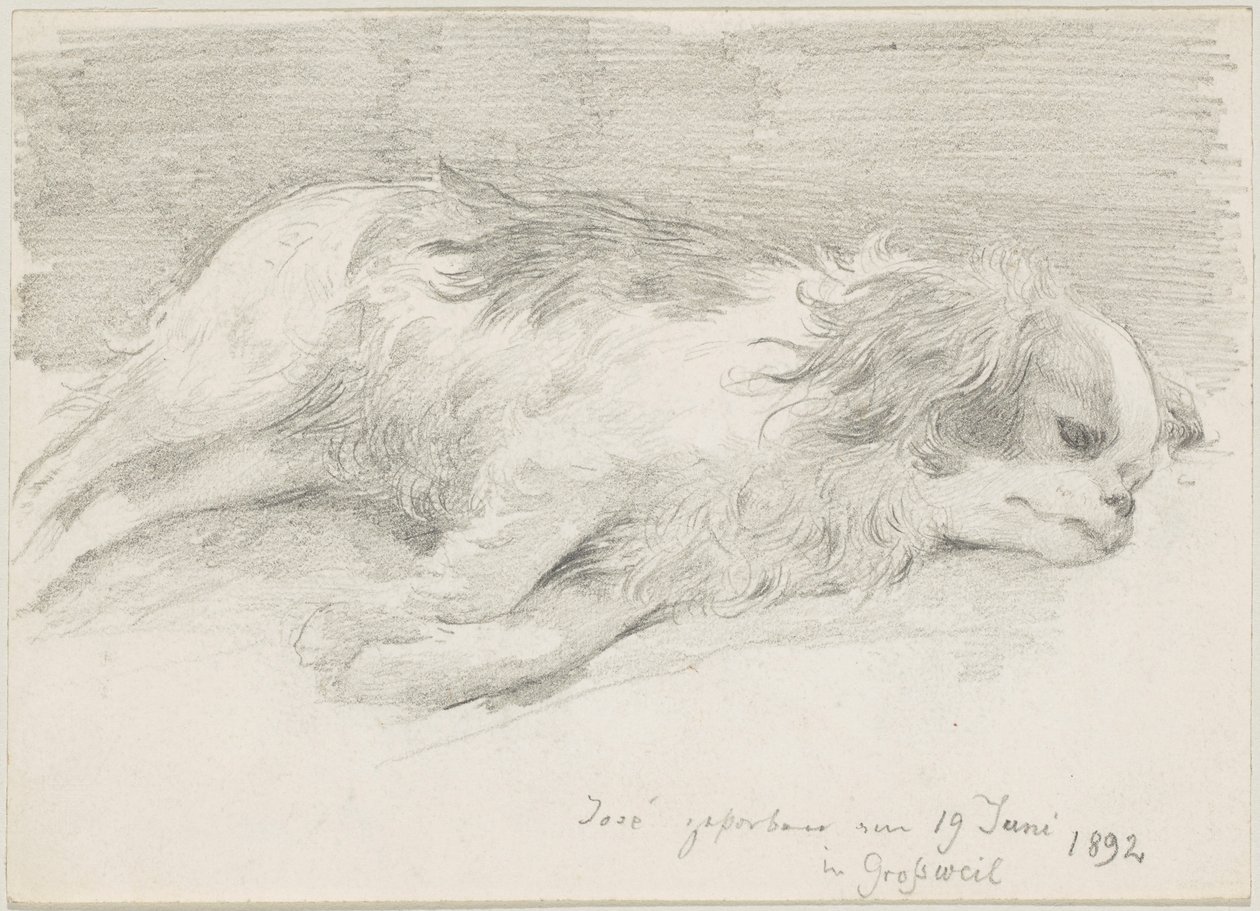 Hundestudien von Friedrich August von Kaulbach