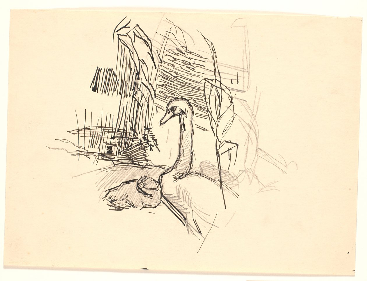 Ein Schwan mit Küken von Fritz Syberg