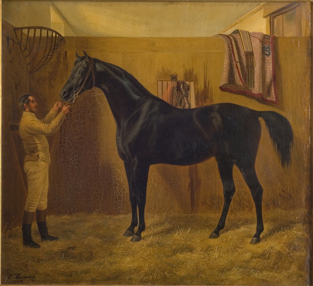 Schwarzer Komet von Fritz Thomsen