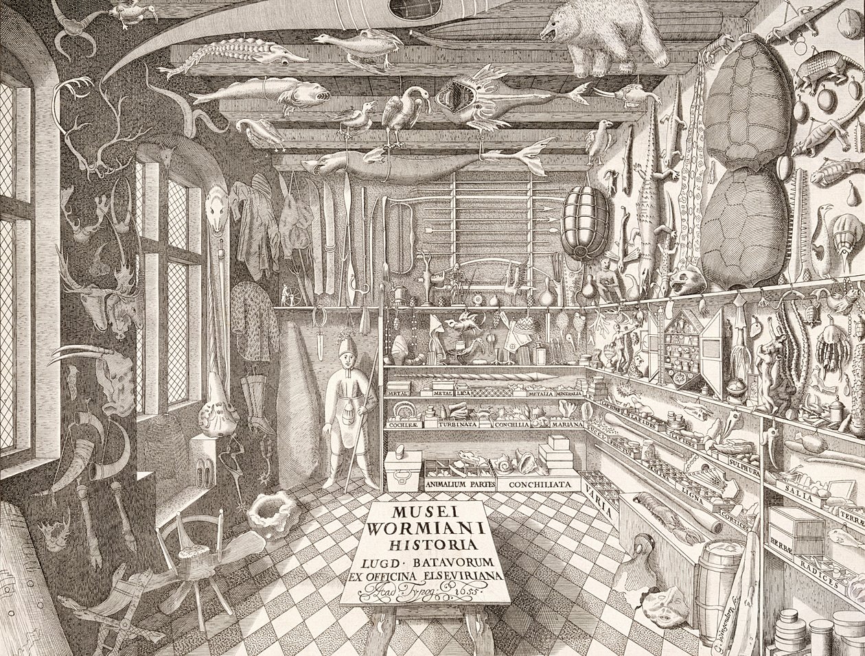 Museum von Ole Worm, Leiden, 1655 von G. Wingendorp
