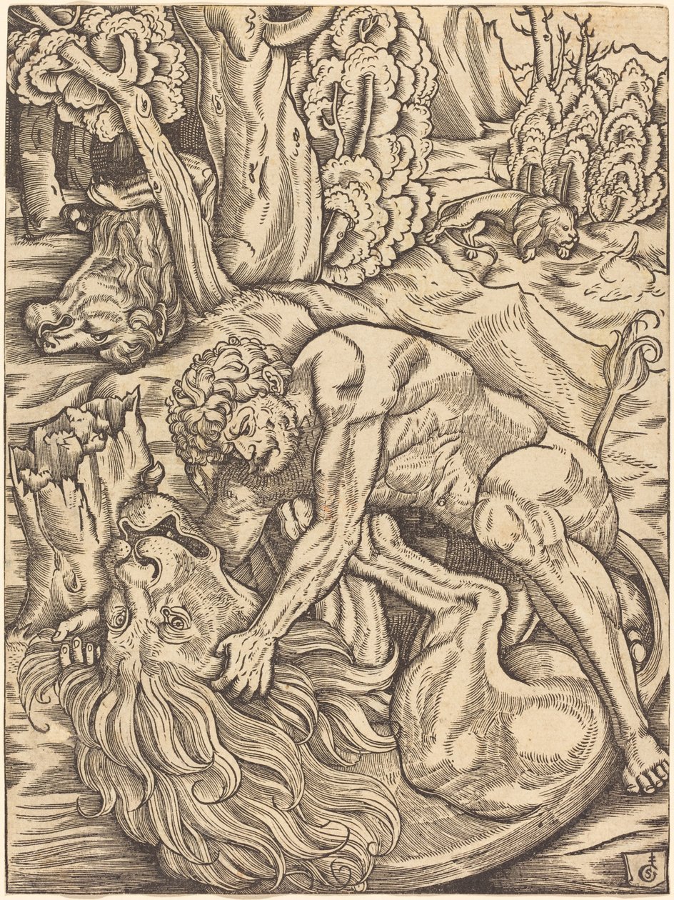 Herkules und der nemeische Löwe von Gabriel Salmon