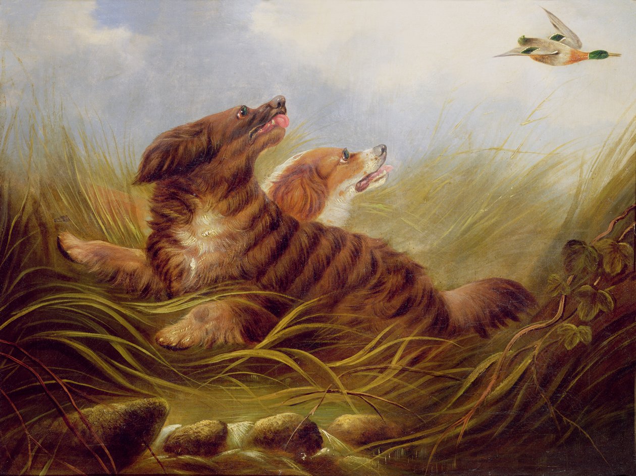 Spaniels beim Dreschen von George Armfield