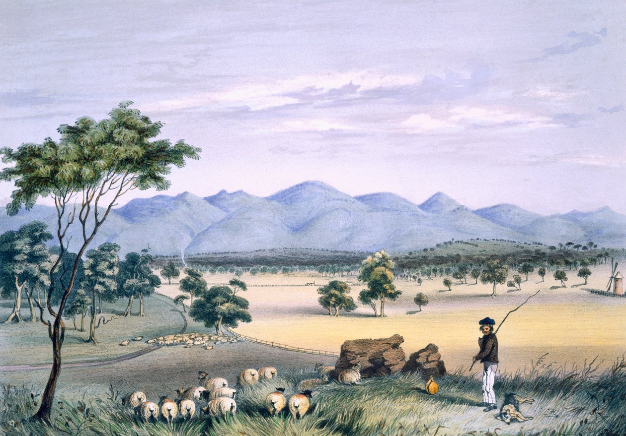 Lynedoch-Tal mit Blick auf die Barossa-Berge, aus 