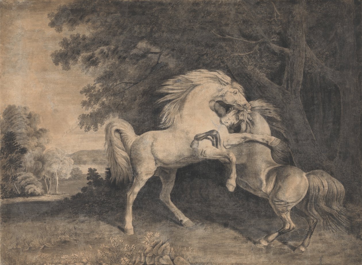 Kämpfende Pferde von George Stubbs