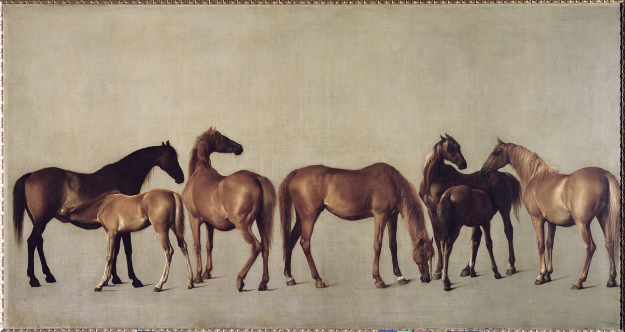 Stuten und Fohlen ohne Hintergrund, ca. 1762 von George Stubbs