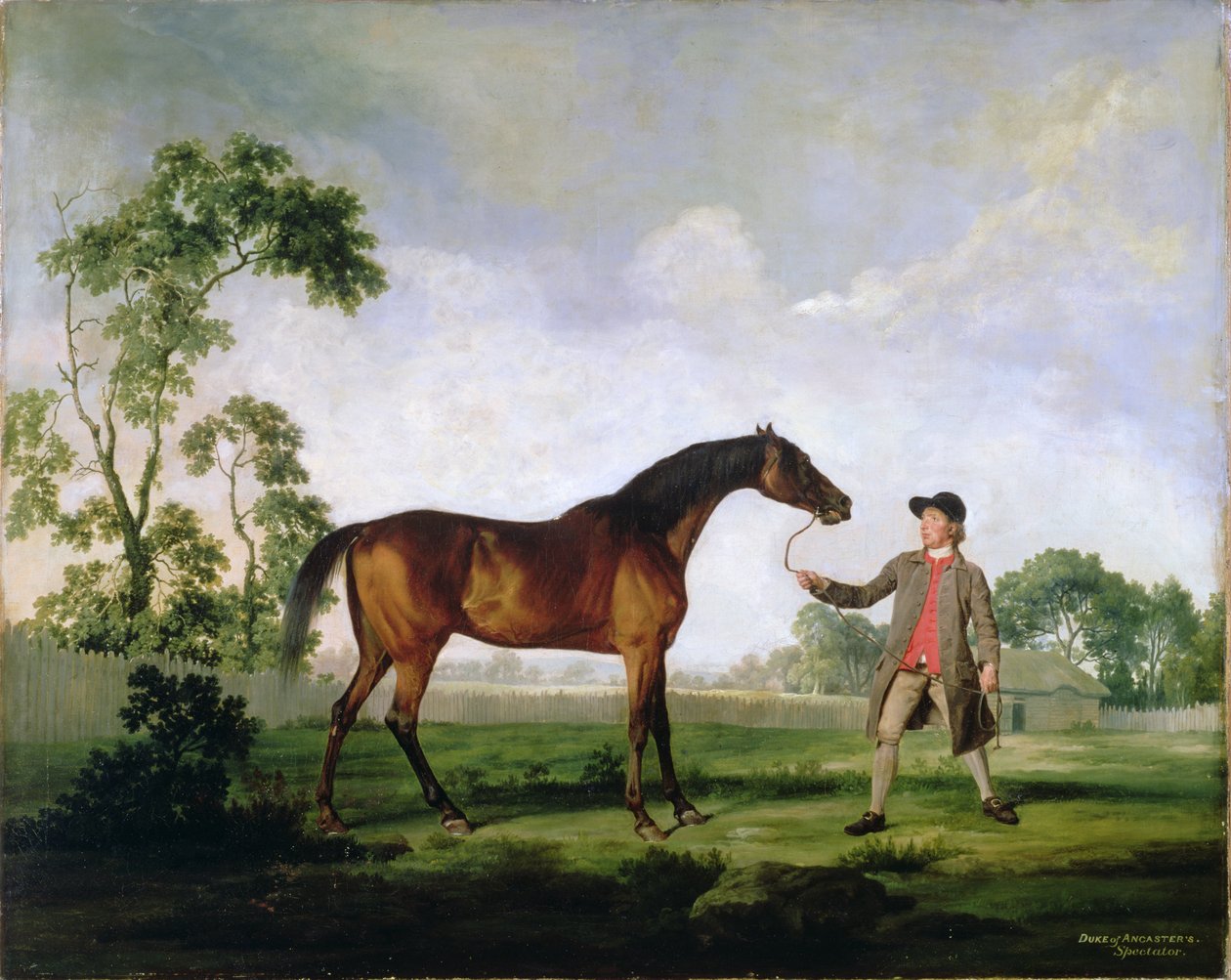 Der Bucht-Hengst Spectator des Herzogs von Ancaster, gehalten von einem Stallburschen, ca. 1762-5 von George Stubbs