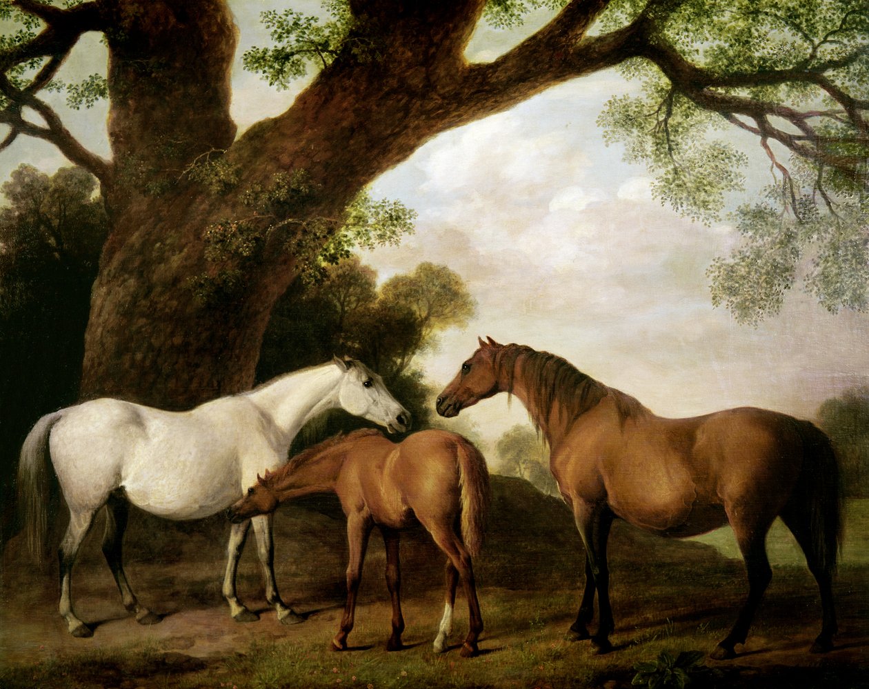 Zwei Shafto-Stuten und ein Fohlen, 1774 von George Stubbs