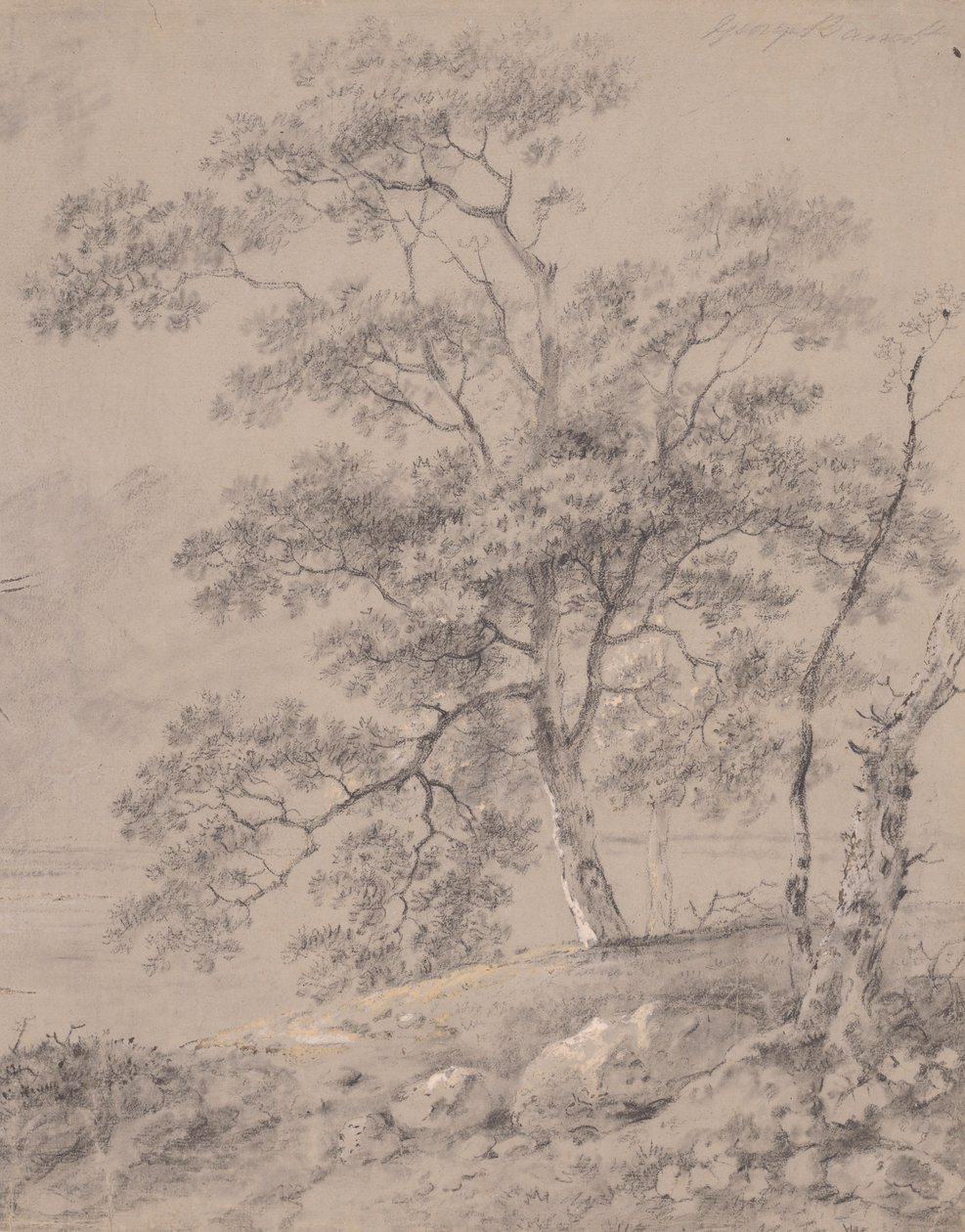 Baumstudie von George Barret