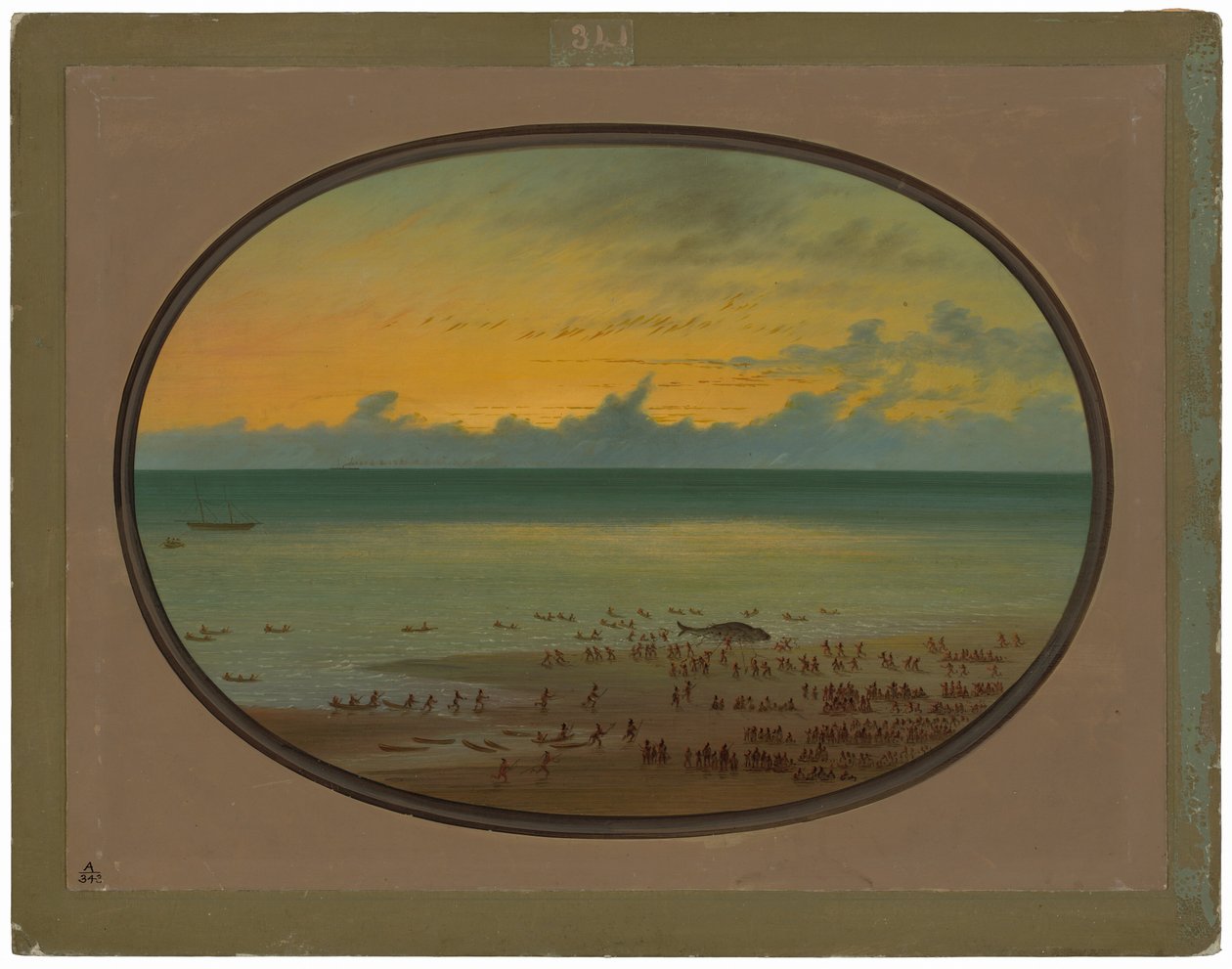 Ein Wal an Land - Klahoquat von George Catlin