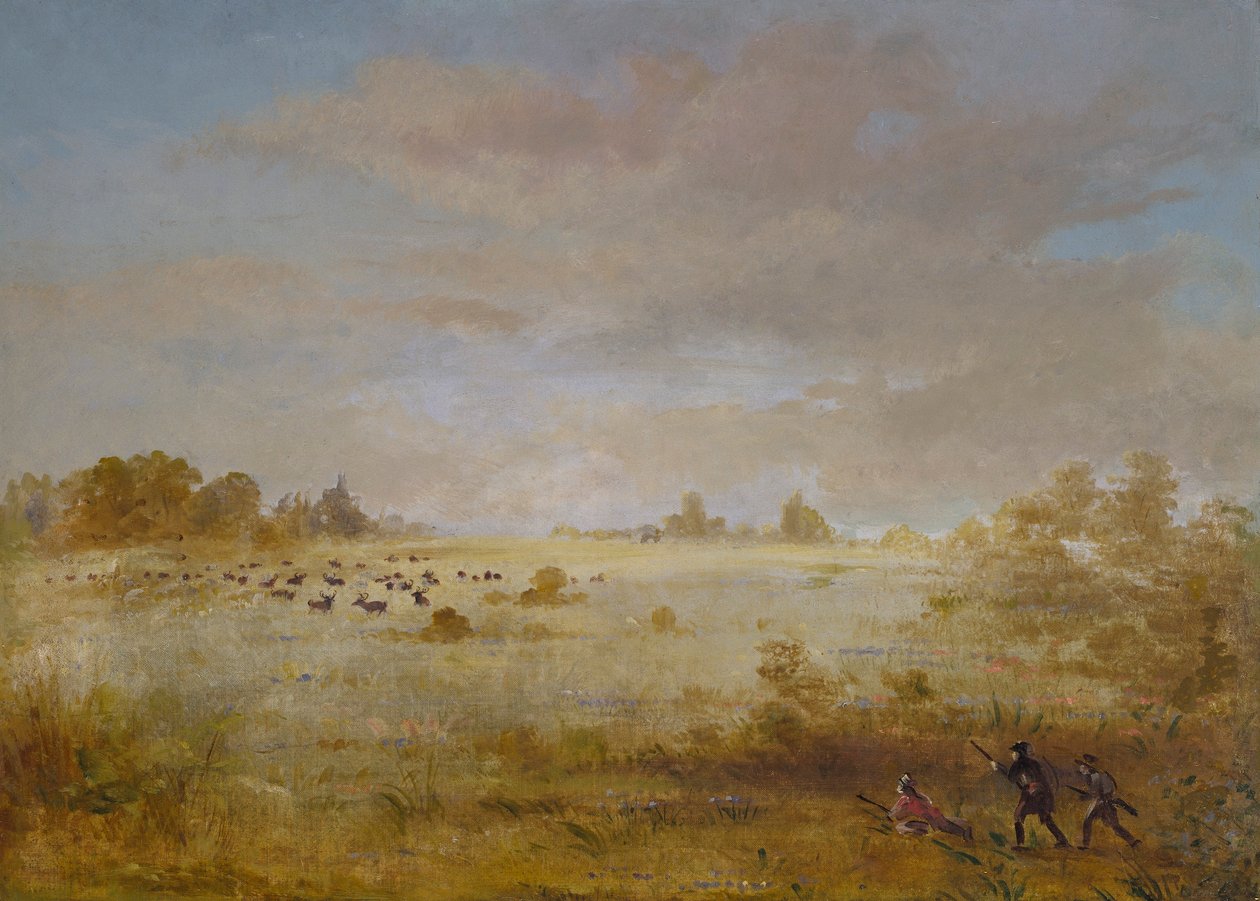 Elch weidet auf einer Herbstprärie von George Catlin
