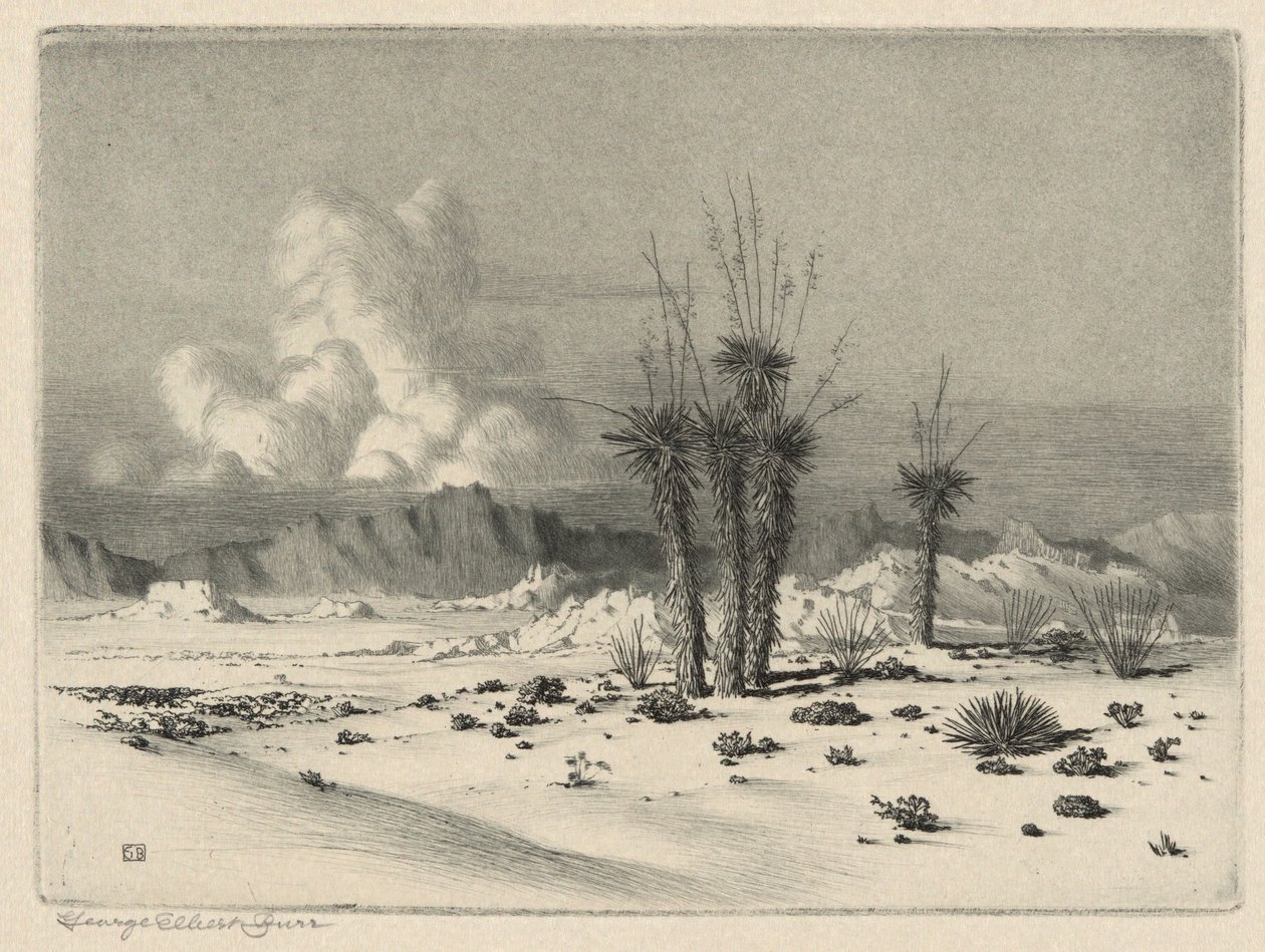 Abend, Arizona von George Elbert Burr