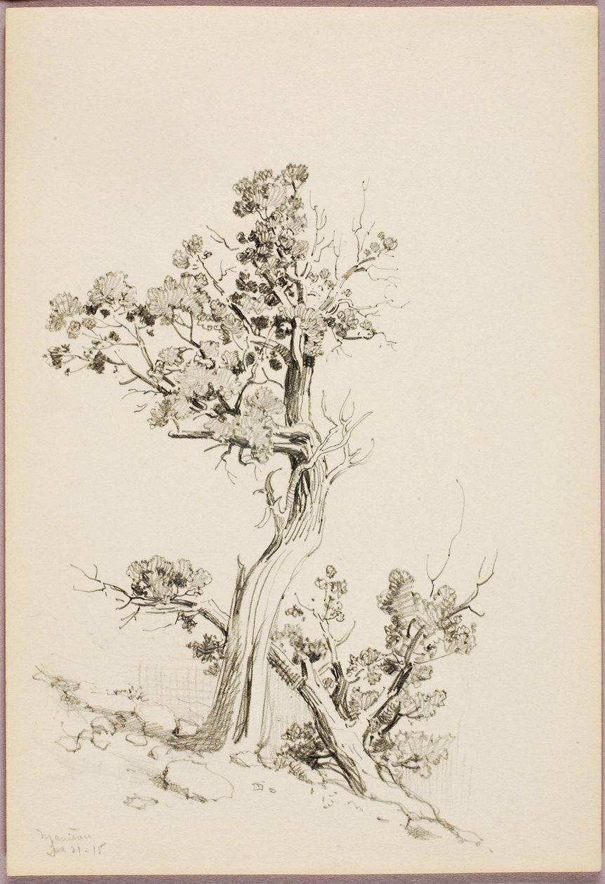 Manitou von George Elbert Burr