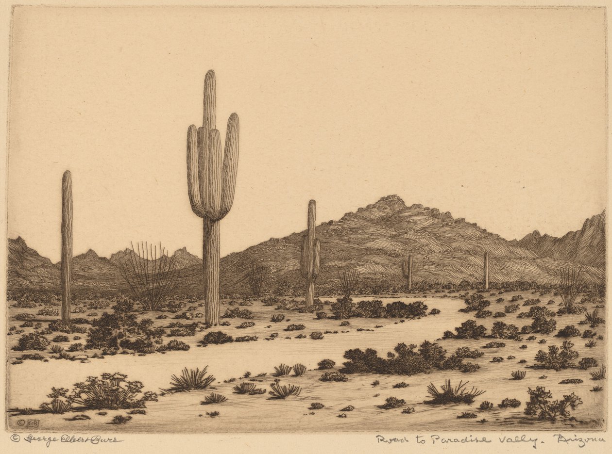 Straße zum Paradies-Tal, Arizona von George Elbert Burr