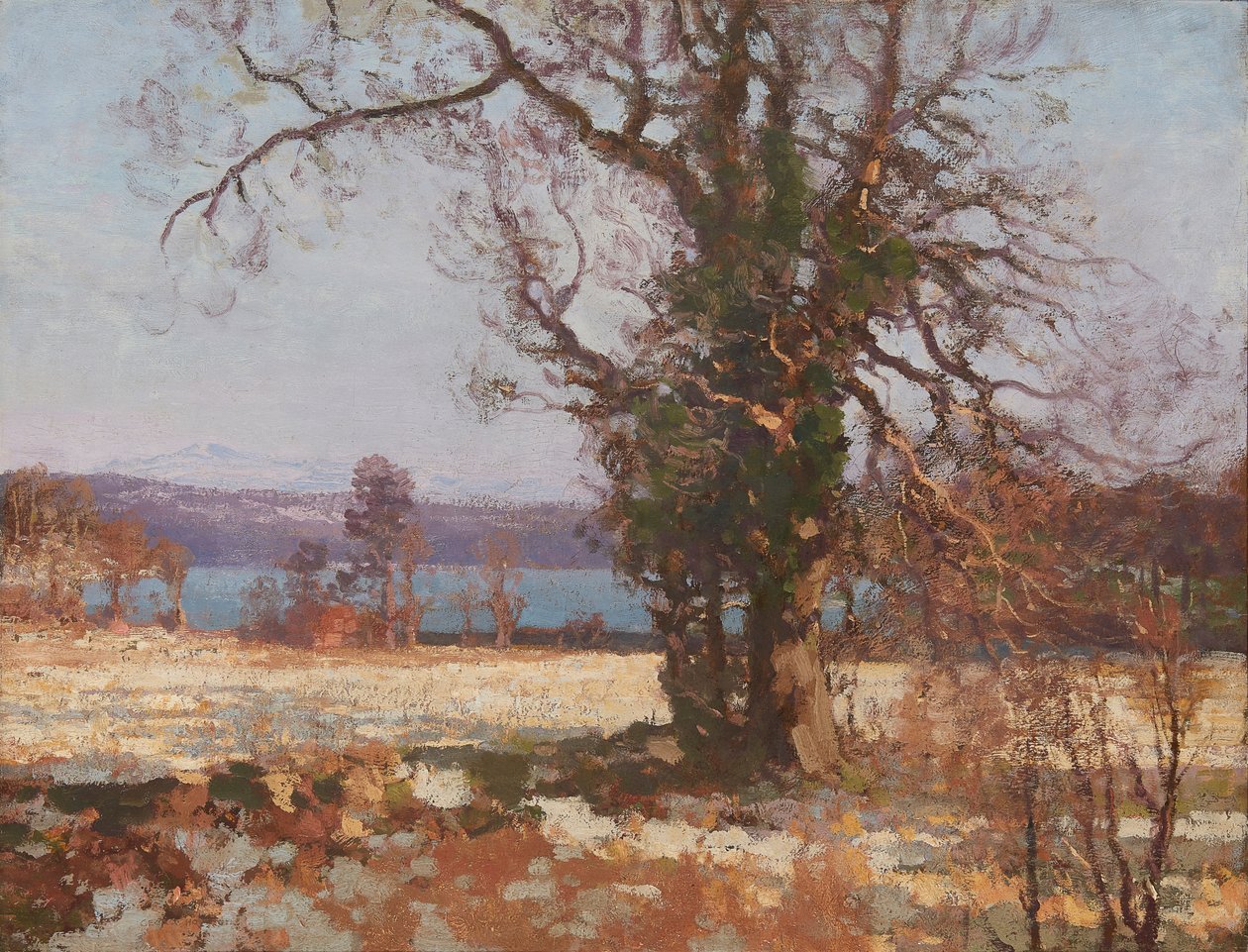 Wintersonne von George Houston