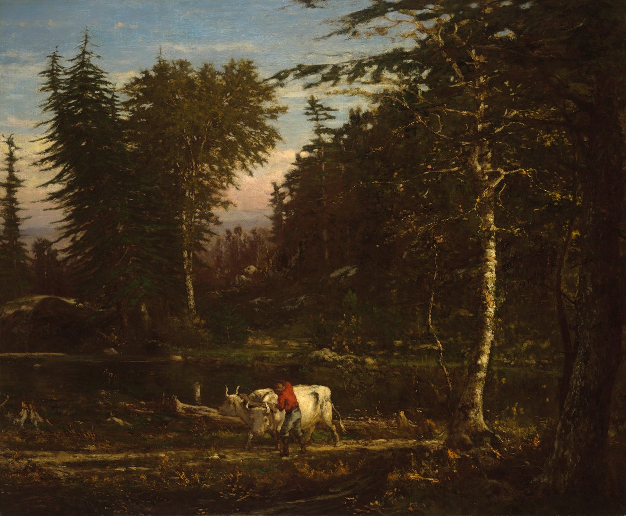 In den Adirondacks von George Inness