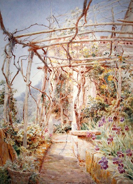 Schwertlilien unter der Pergola von George Samuel Elgood