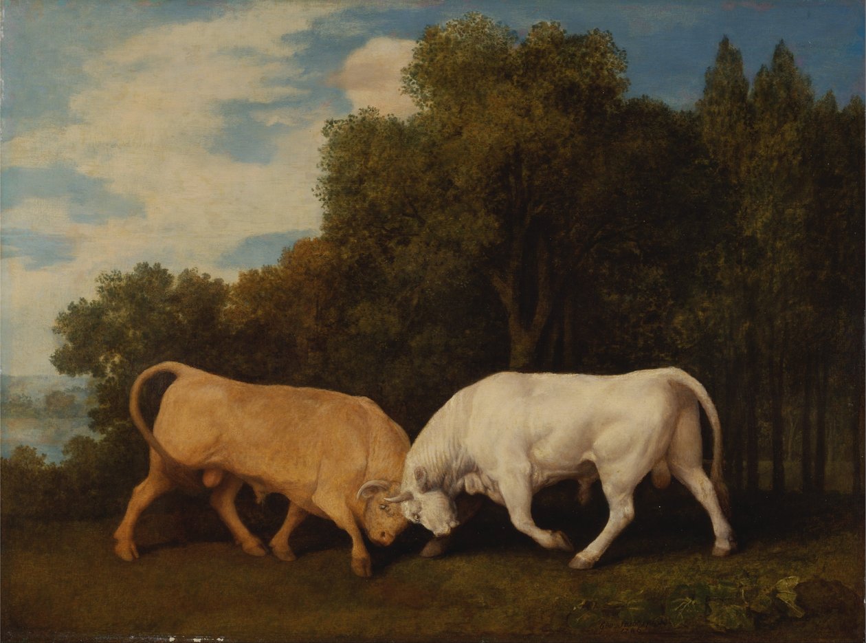 Kämpfende Stiere von George Stubbs
