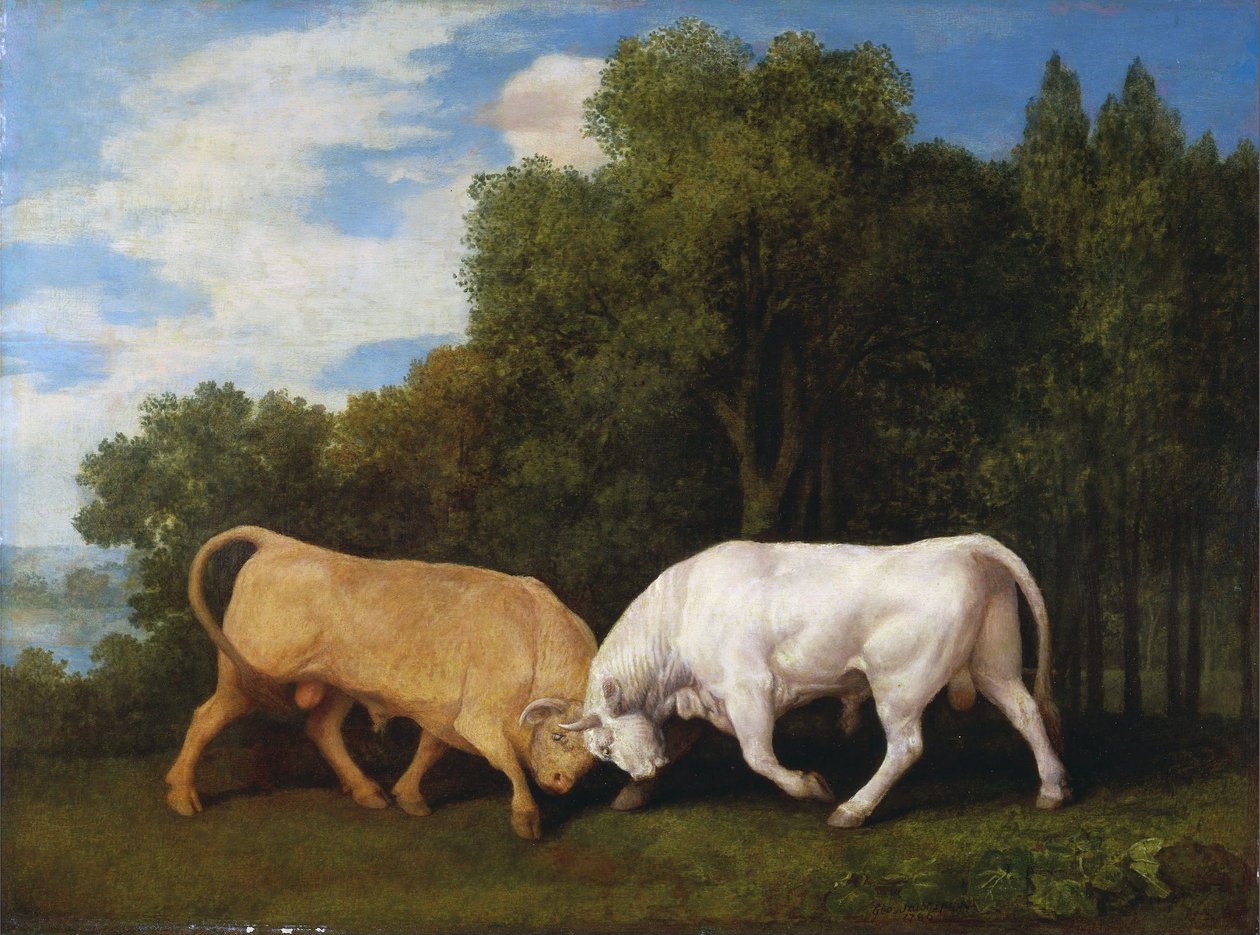 Kämpfende Stiere von George Stubbs