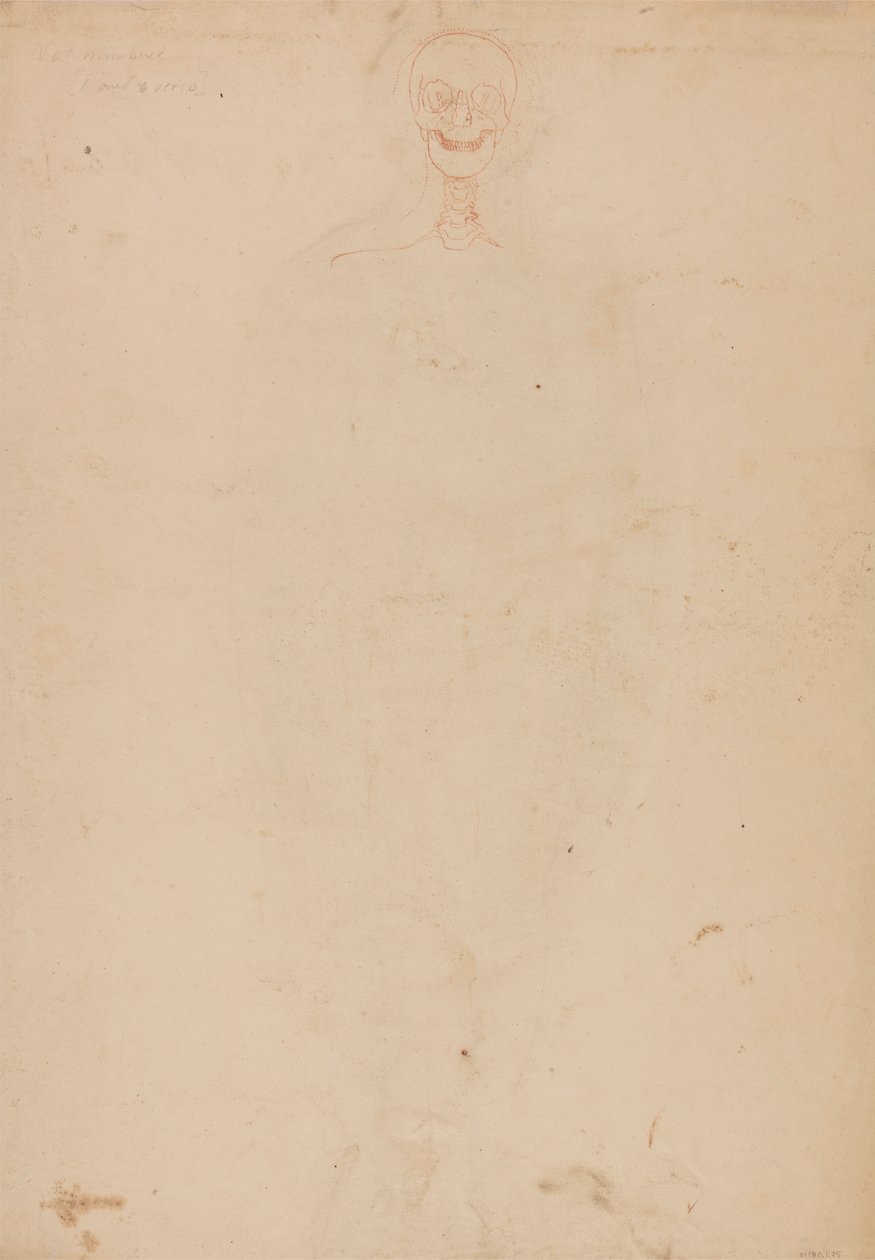 Menschliches Skelett, vordere Ansicht von George Stubbs