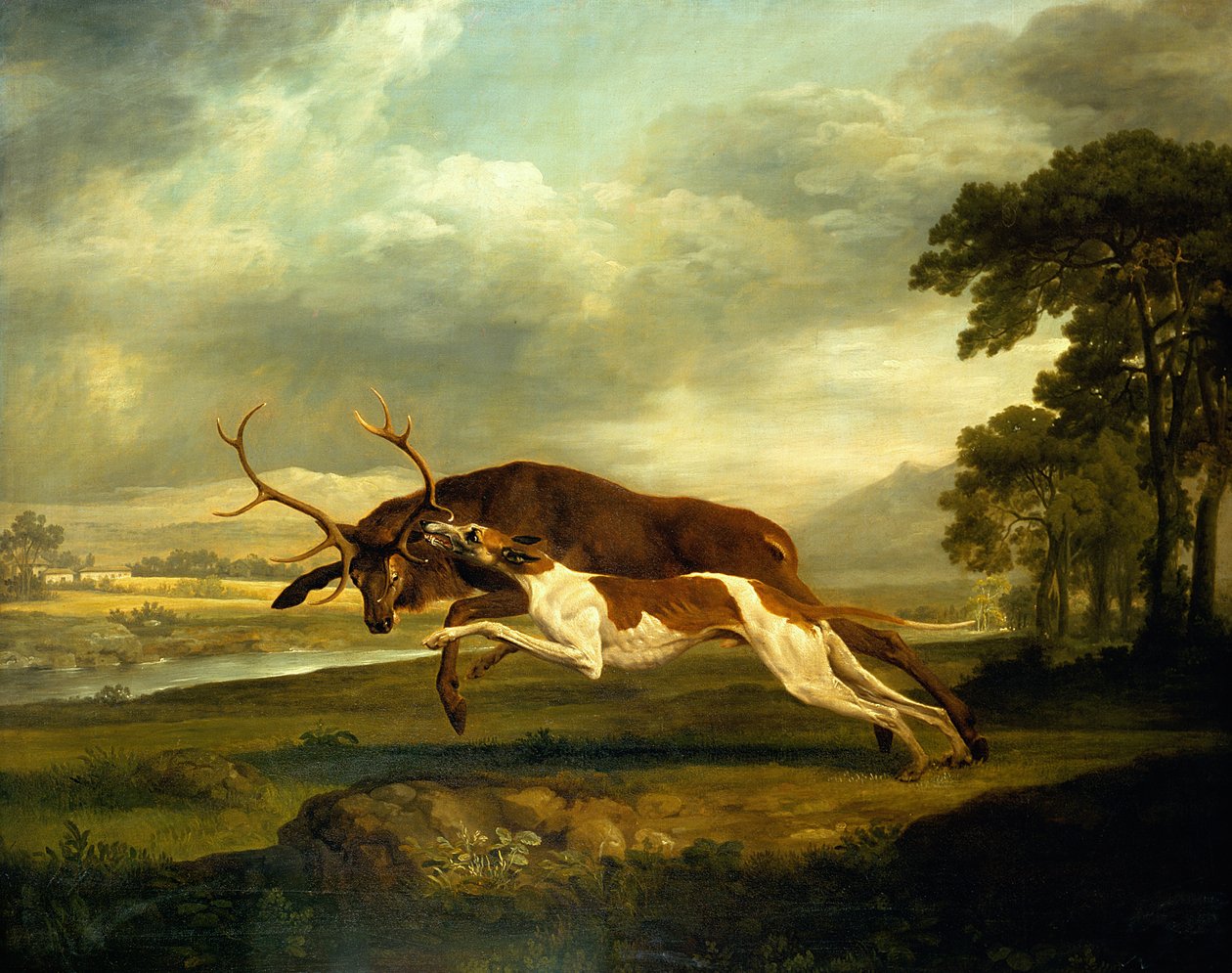 Unbekanntes Bild von George Stubbs