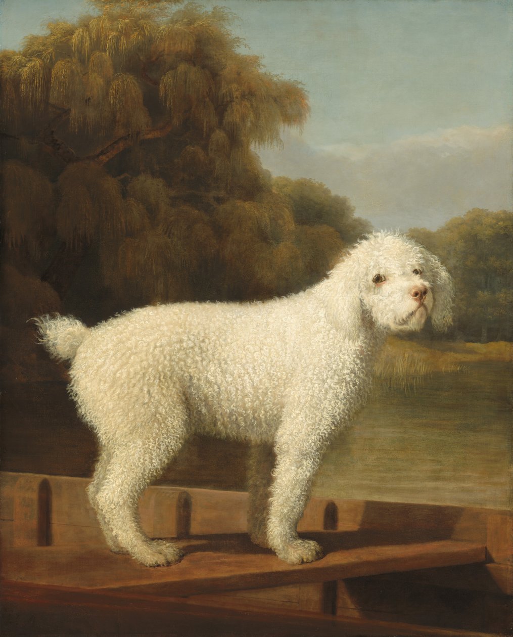 Weißer Pudel in einem Kahn von George Stubbs