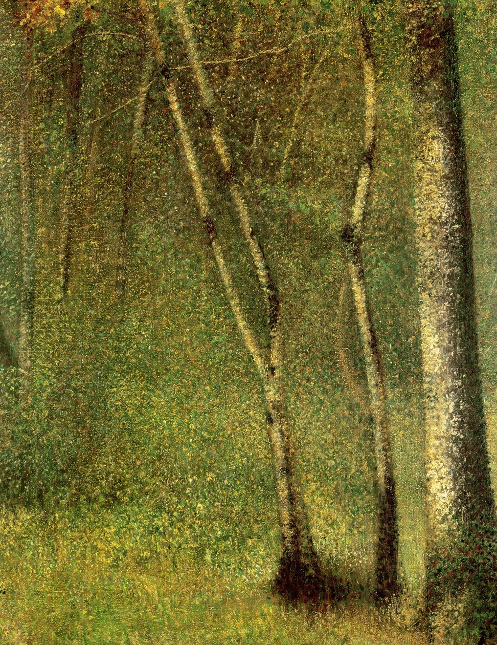 Im Wald bei Pontaubert von Georges Seurat