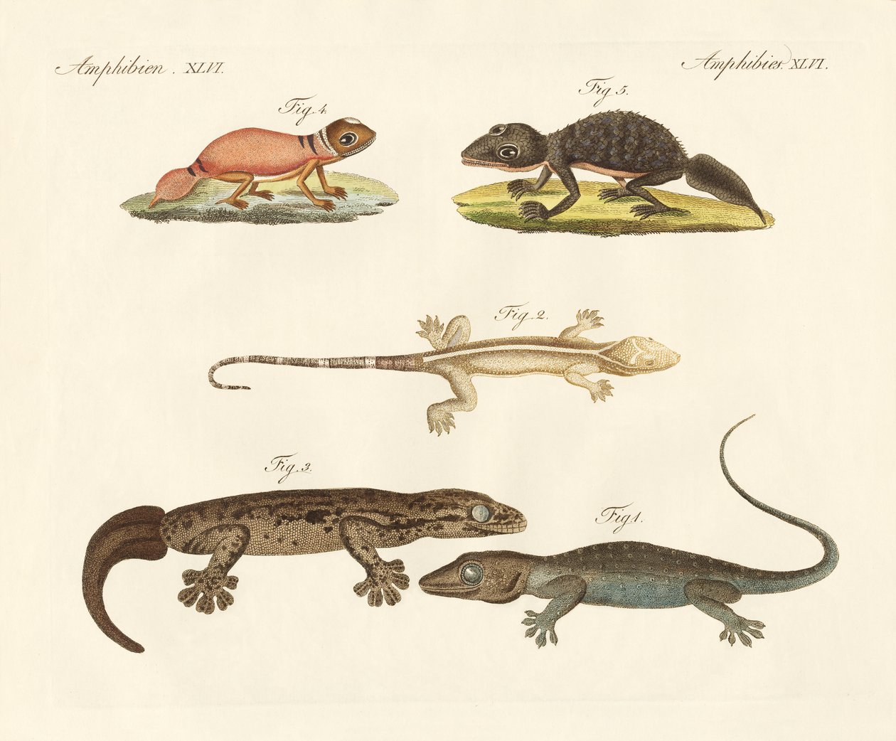 Seltsame Dinosaurier von German School