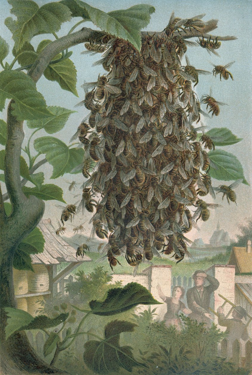 Das Bienenhaus, spätes 19. Jahrhundert von German School