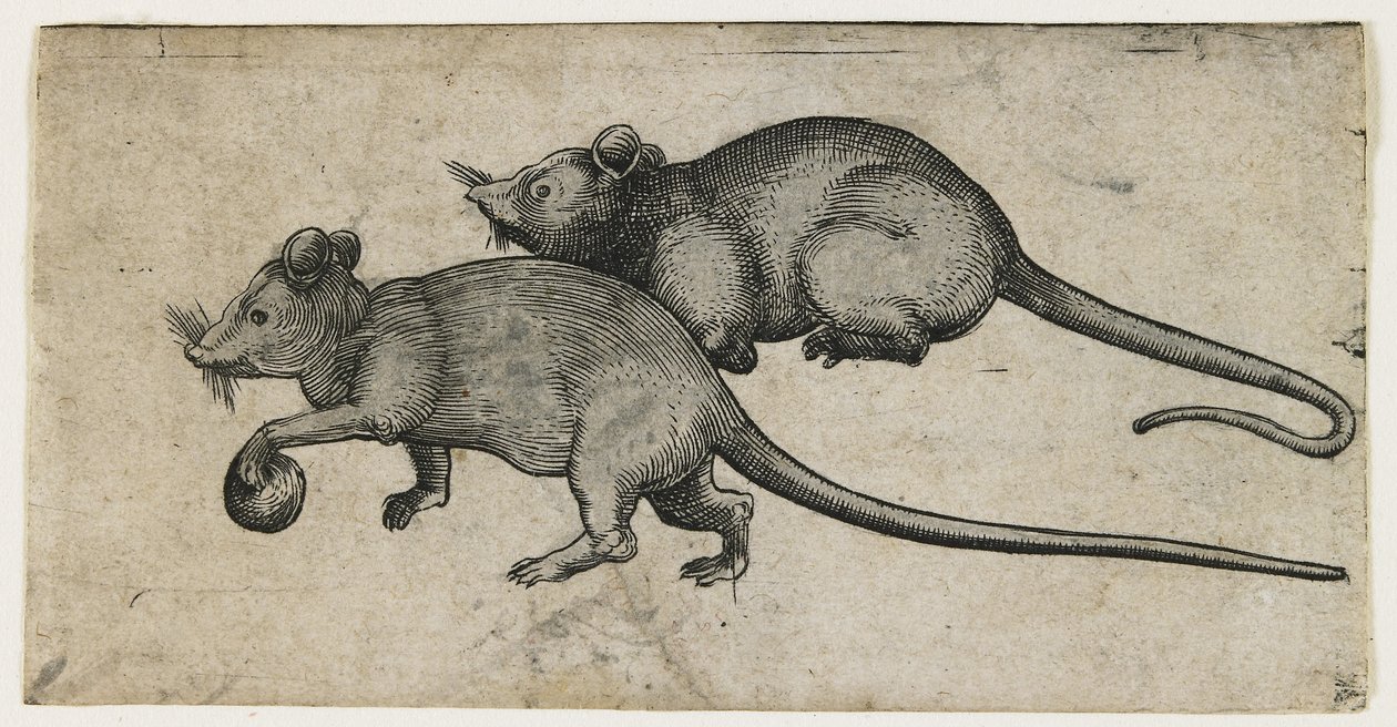Zwei Mäuse, 1450-80 von German School