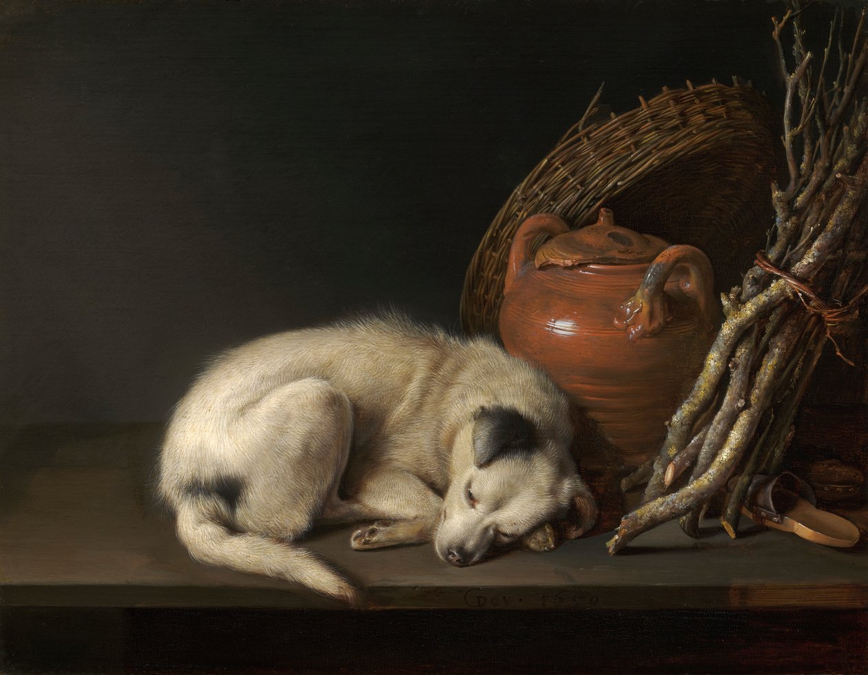 Ein schlafender Hund von Gerrit Dou