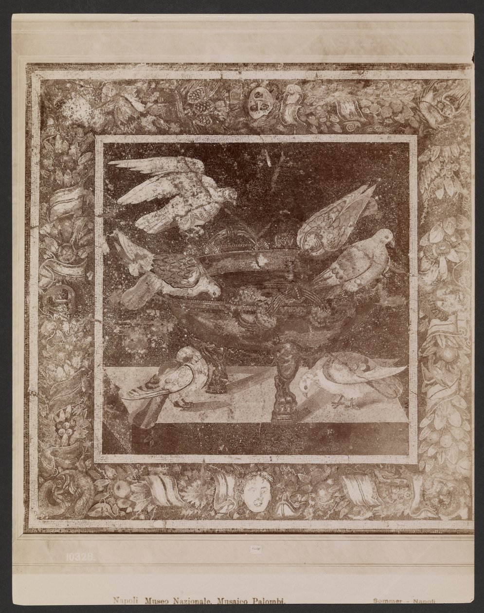 Palombi-Mosaik, Neapel Museo Nazionale von Giorgio Sommer