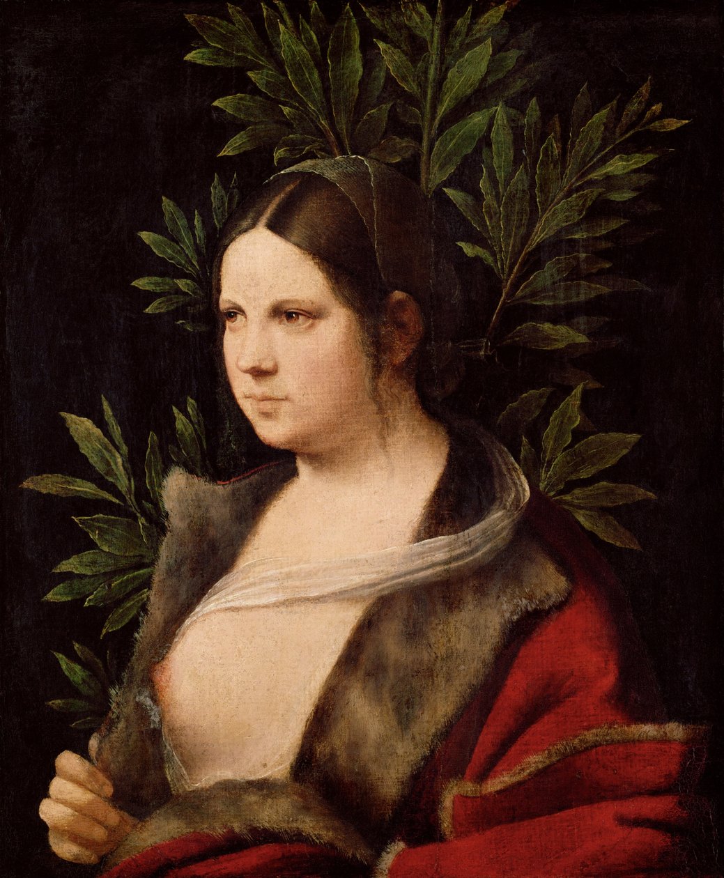 Junge Frau Laura, 1506 von Giorgione da Castelfranco