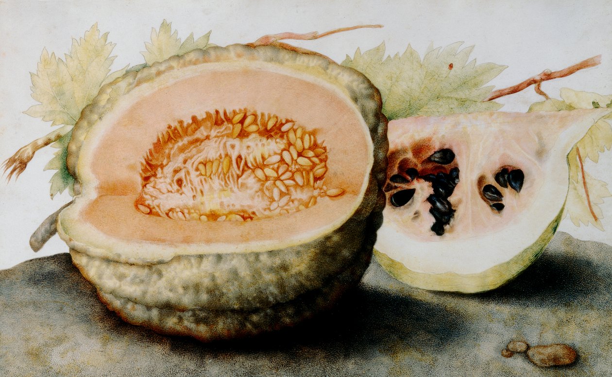 Eine Melone und eine Scheibe Wassermelone von Giovanna Garzoni