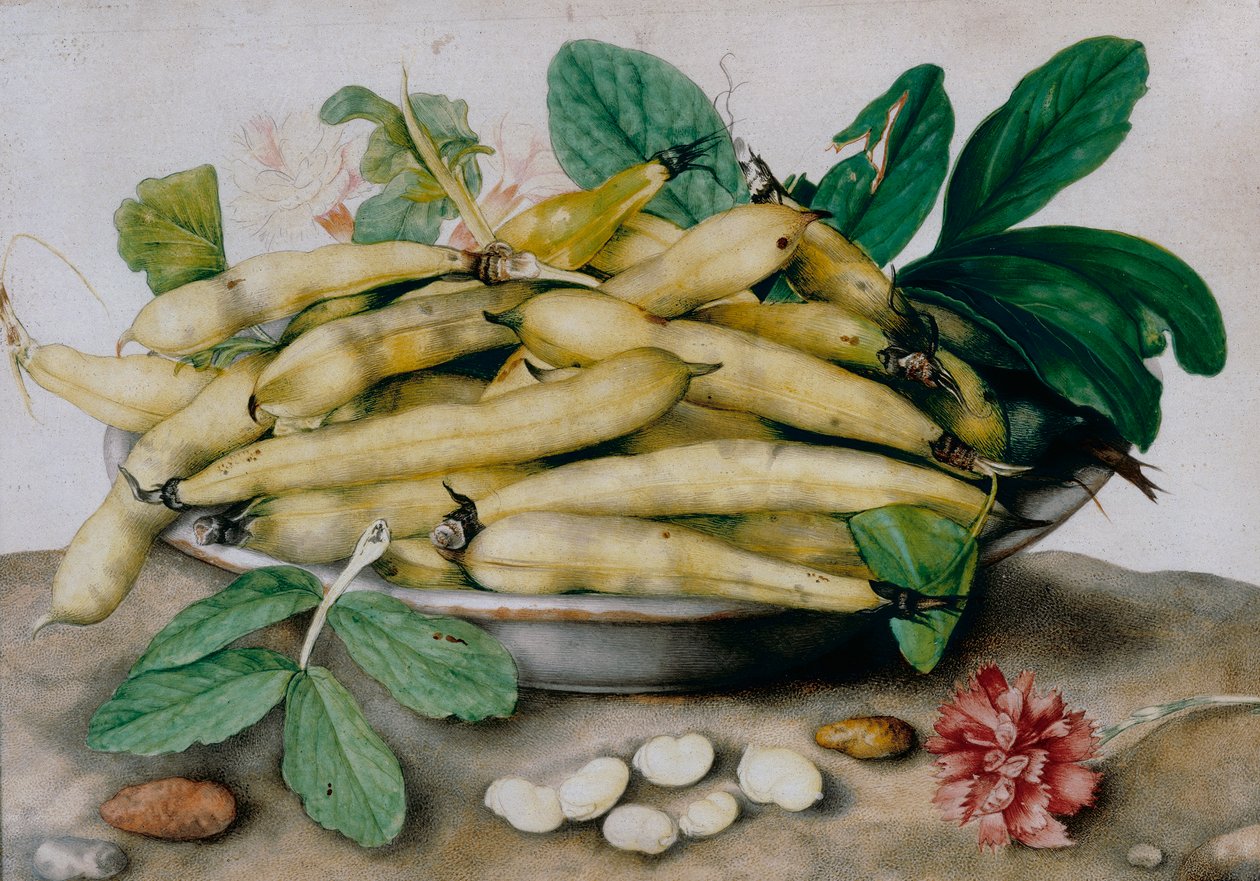 Teller mit dicken Bohnen von Giovanna Garzoni