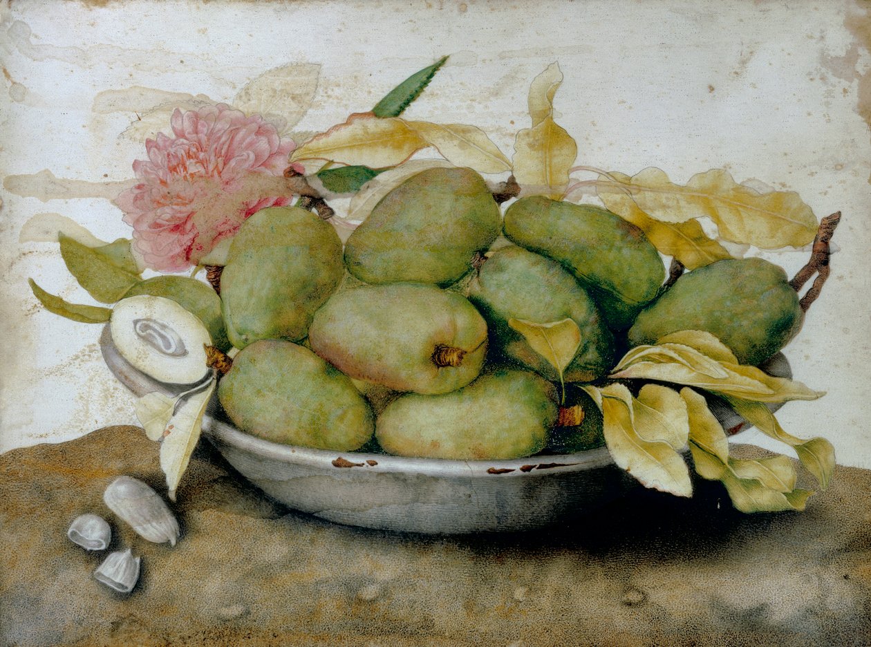 Teller mit Mispeln, Mandeln und einer Rose von Giovanna Garzoni