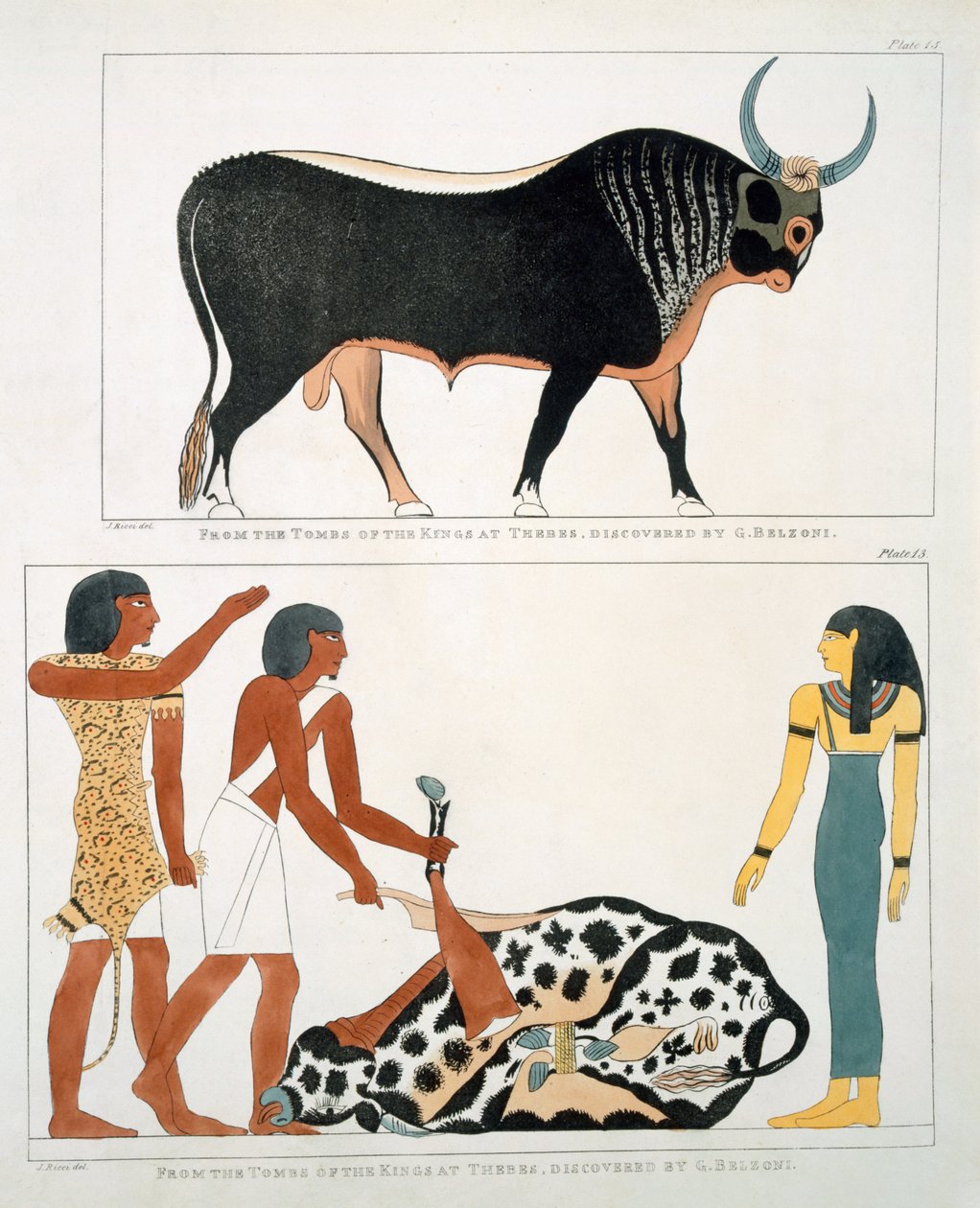 Wandmalerei aus den Gräbern der Könige von Theben, entdeckt von G. Belzoni, Tafel 13 aus 